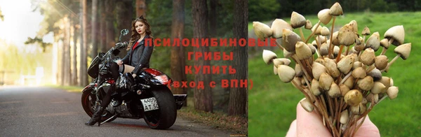 ешки Армянск