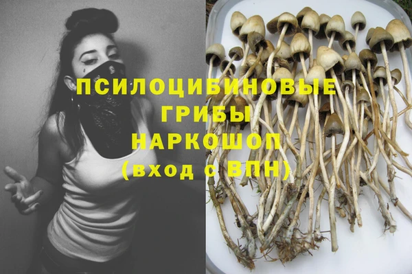 ешки Армянск