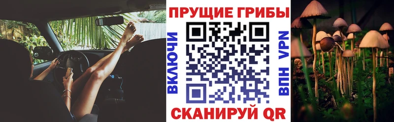 купить наркотики цена  Салехард  Псилоцибиновые грибы GOLDEN TEACHER 